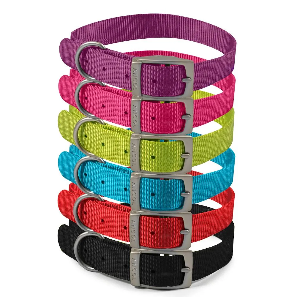 Ancol Viva Dog & Puppy Buckle Collars Nylon Purple 5 Sizes