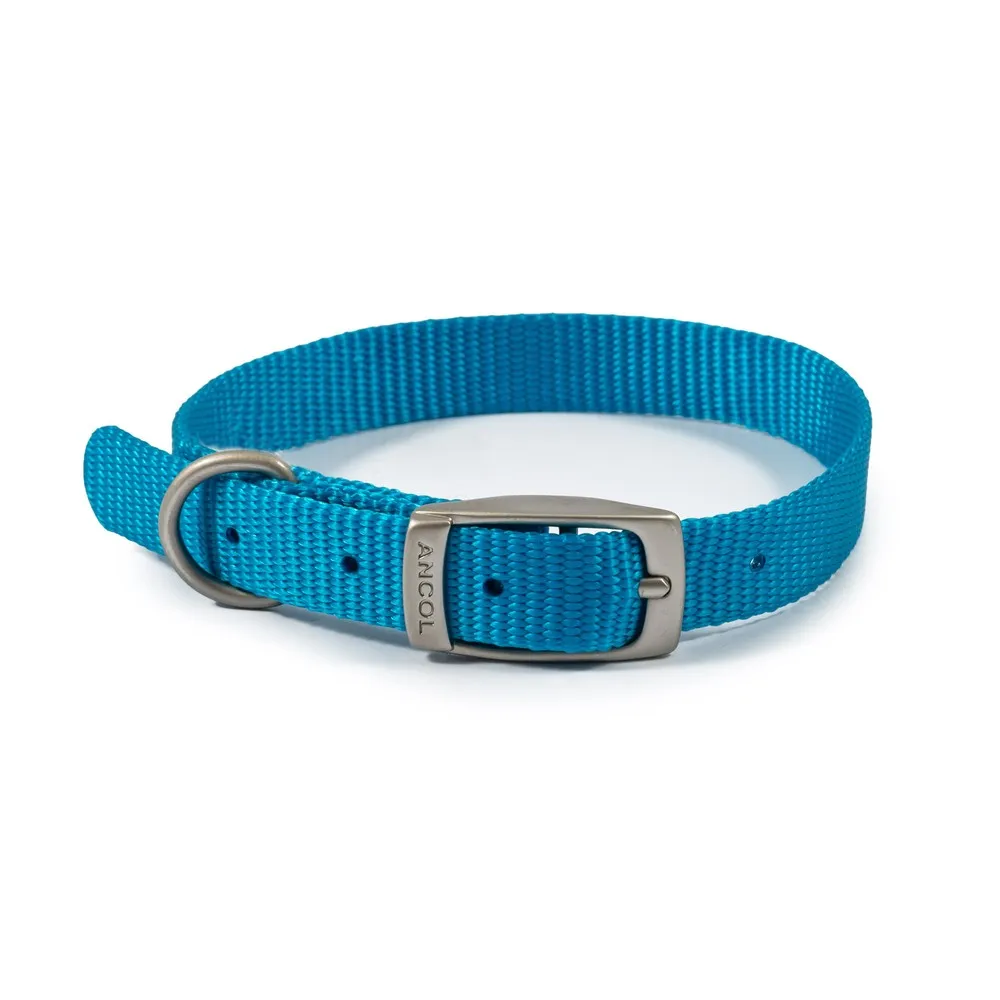 Ancol Viva Nylon Collar Blue 20-26cm Size 1