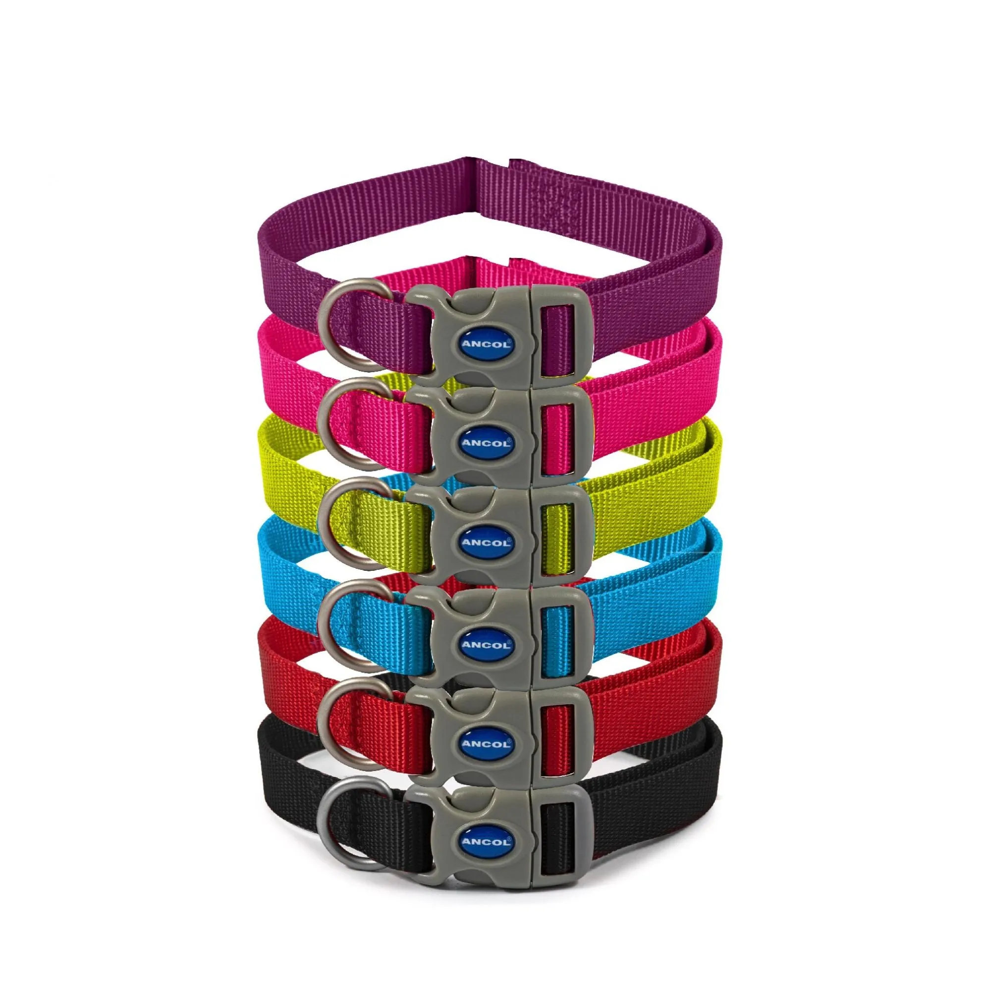 Ancol Viva Quick Fit Adjustable Dog Collar