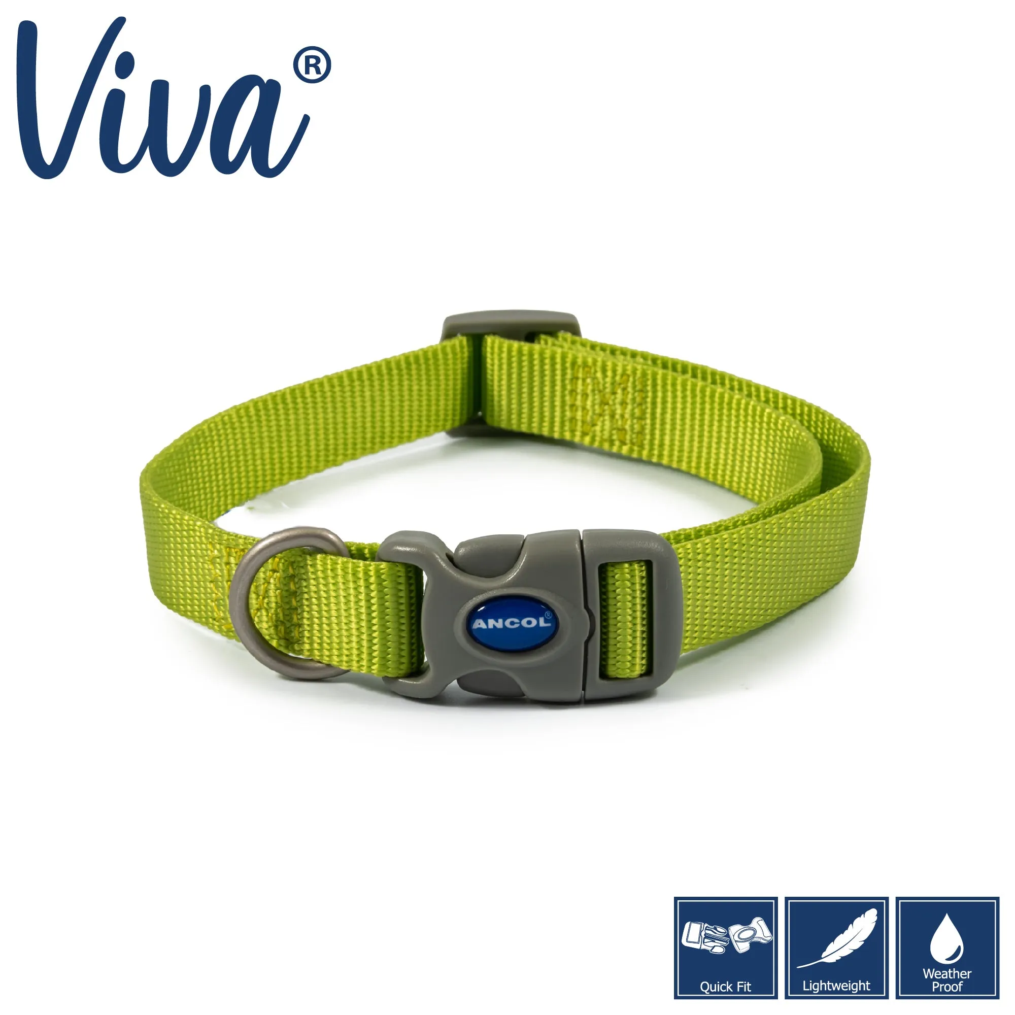 Ancol Viva Quick Fit Adjustable Dog Collar