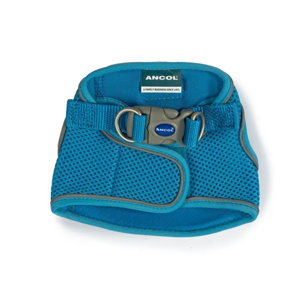 Ancol Viva Small (35-42cm) Blue Step-In Harness