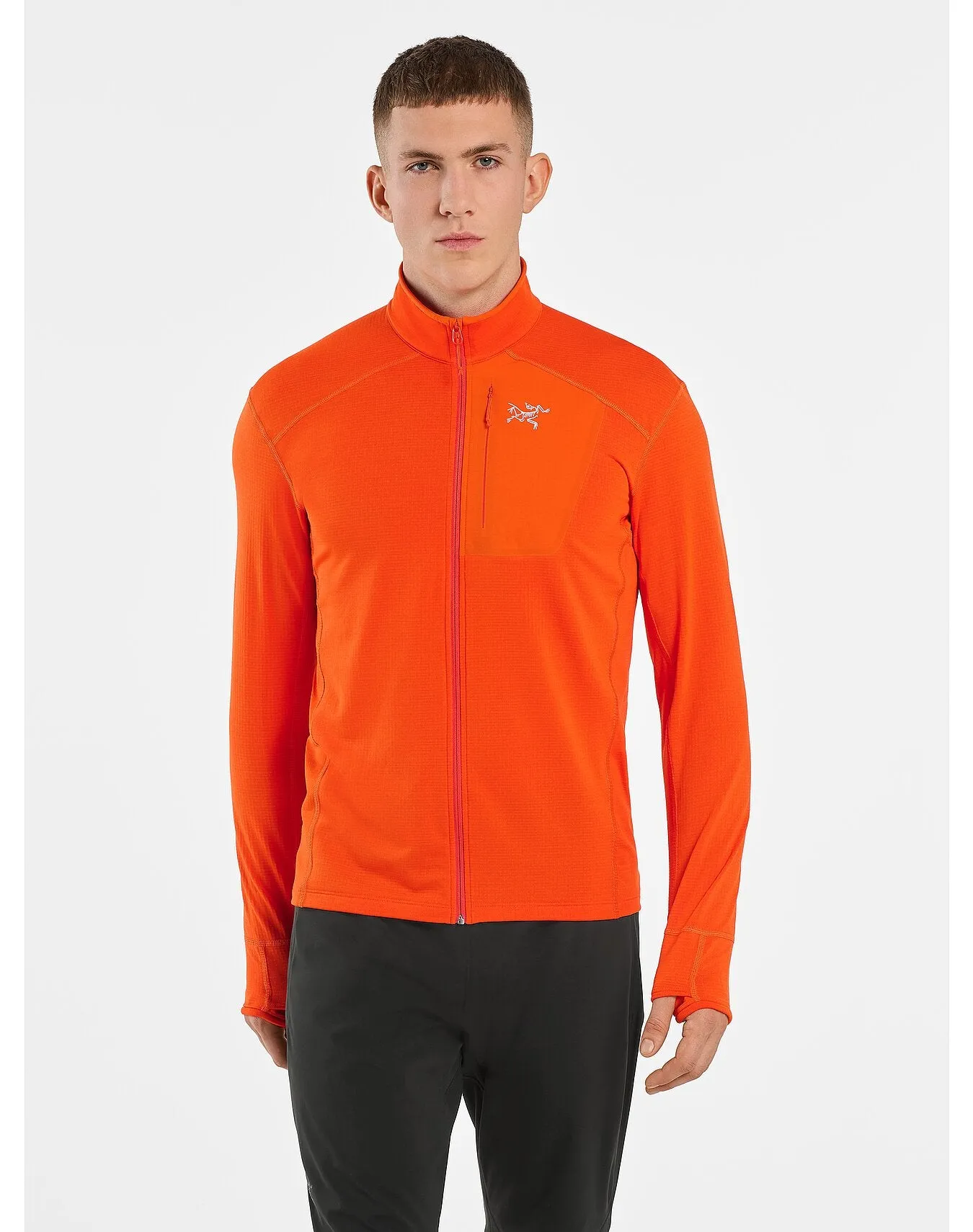 Arcteryx Delta Jacket (Men's) Phenom