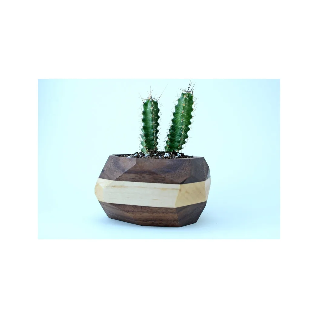 Geometric Wooden Planter