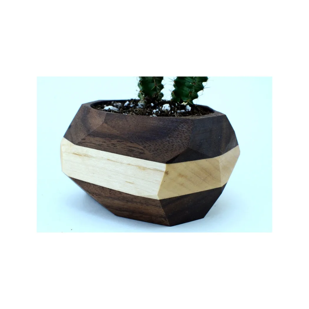 Geometric Wooden Planter