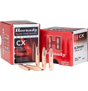 HORNADY 22 CAL .224 55 GR FMJ-BT W/C