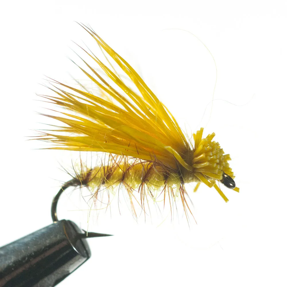 Murray's Yellow Jacket Dry