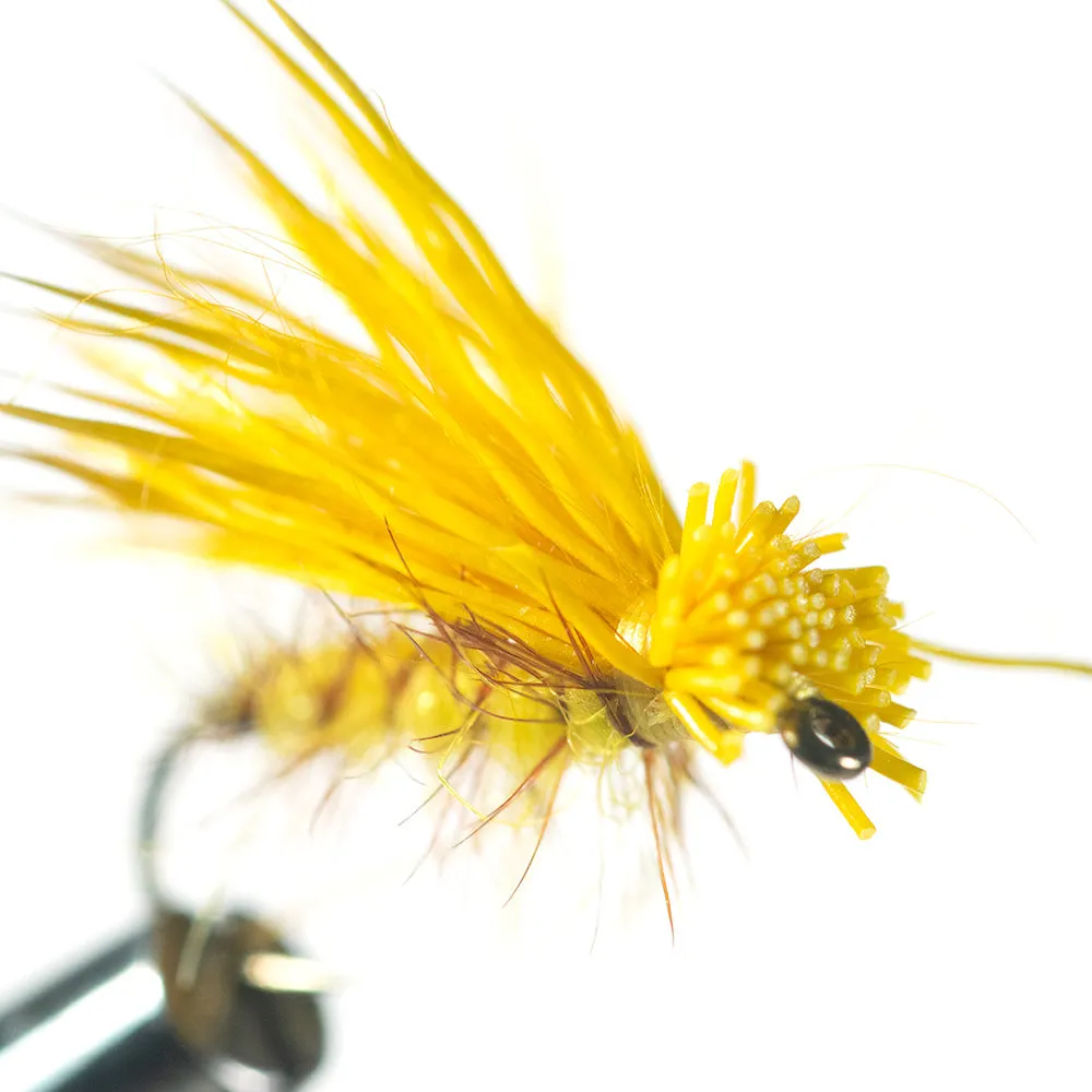 Murray's Yellow Jacket Dry