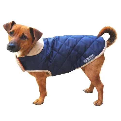 Quilted Dog Coat